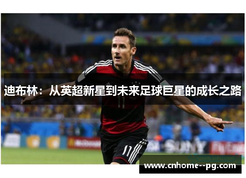 迪布林：从英超新星到未来足球巨星的成长之路